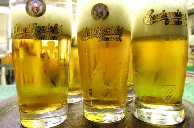 Pivo Budvar
