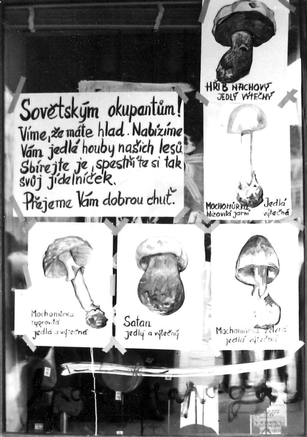 Rok 1968 očima čtenářů Aktuálně.cz