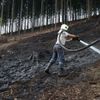 Požáry lesního porostu na Náchodsku a Rychnovsku