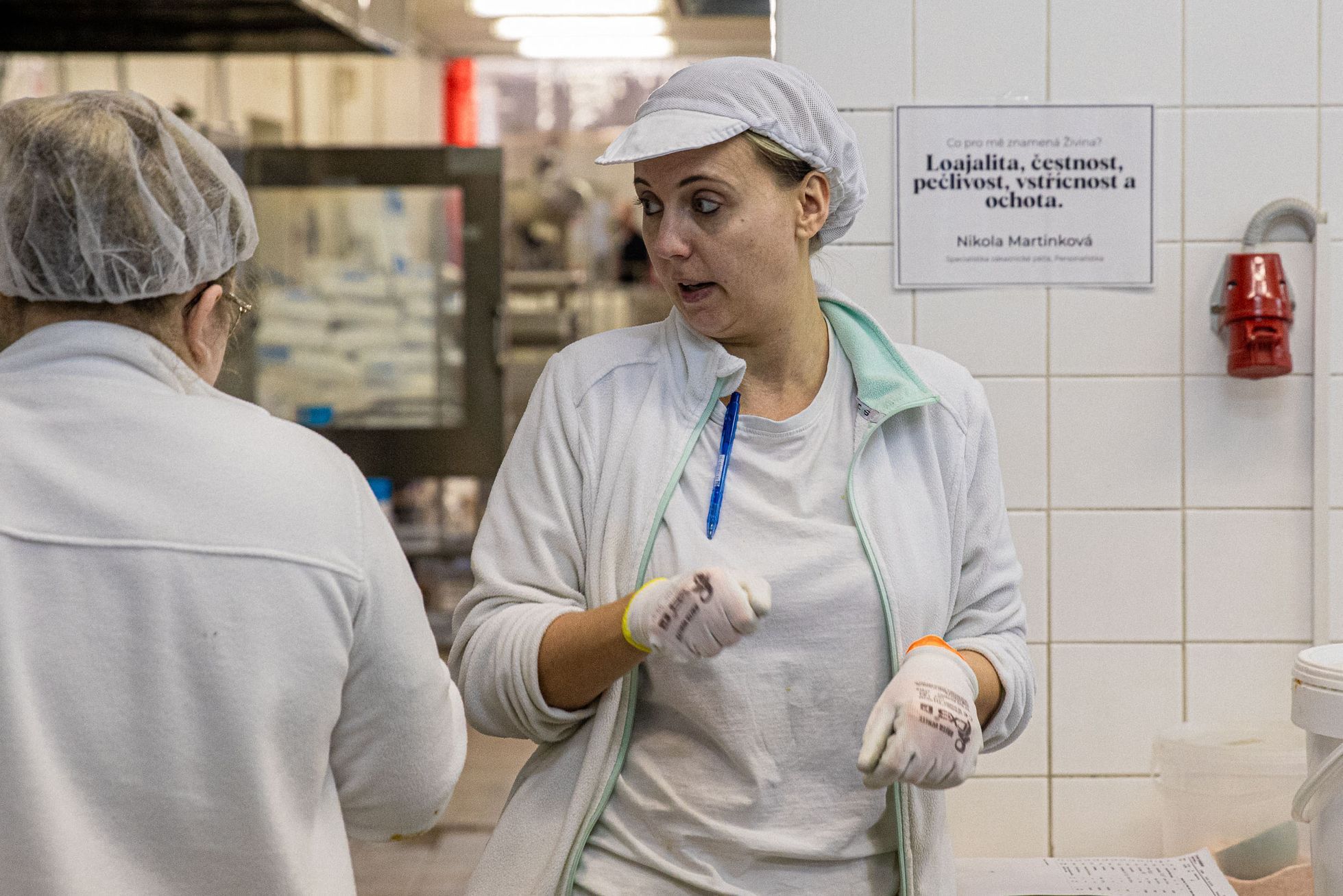 Firma Živina, Přerov, výroba kimchi, potraviny, zaměstnání, potraviny, potravinářství