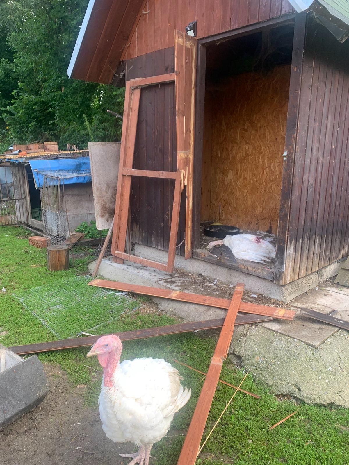 sučany slovensko medvědi