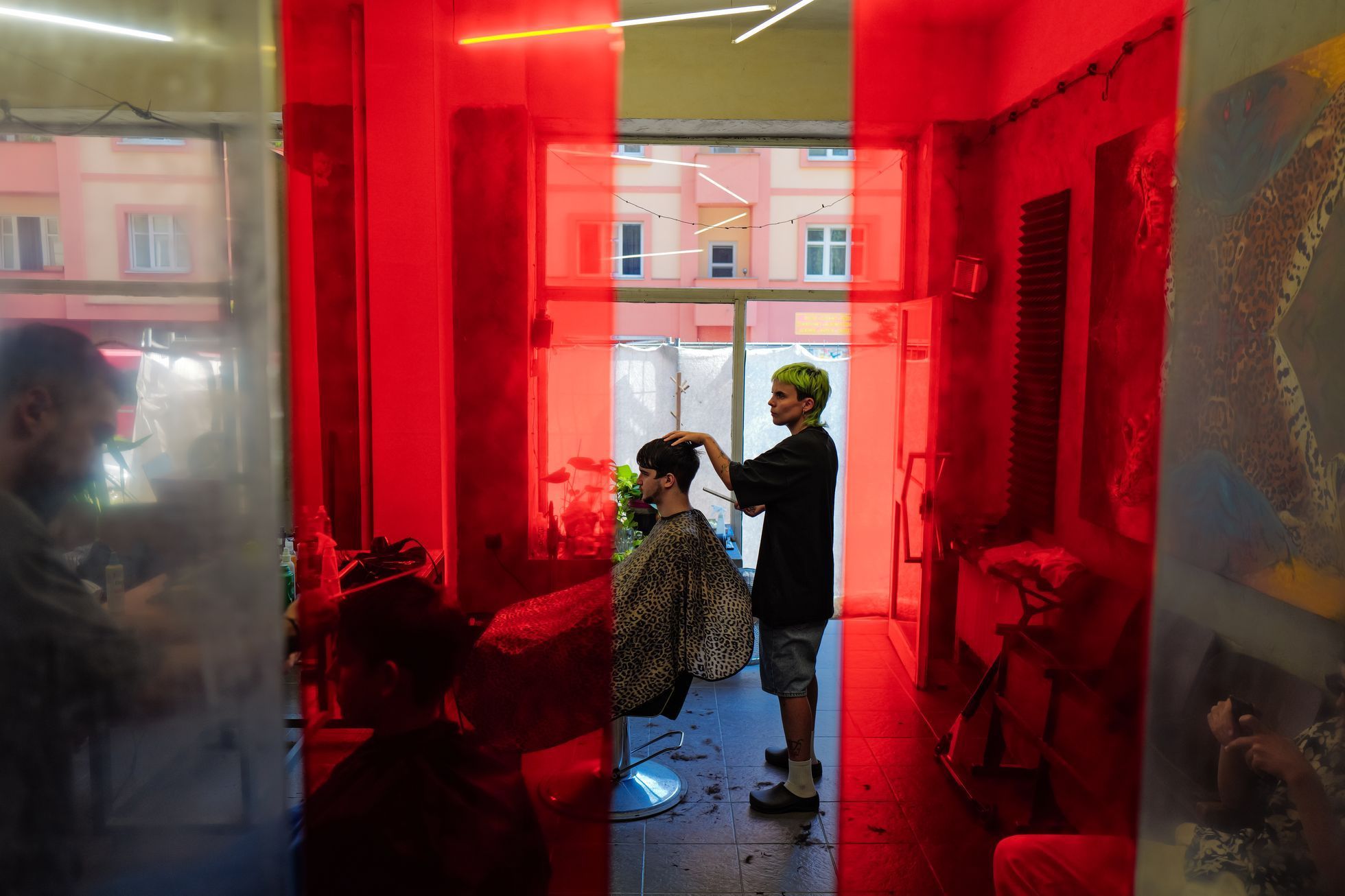 kabinet holicu, tom holic