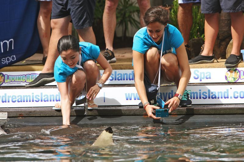 Soutěž o nejlepší práci na světe vrcholí