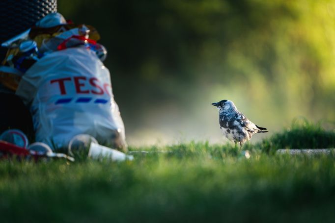 Nominace na Czech Nature Photo 2024