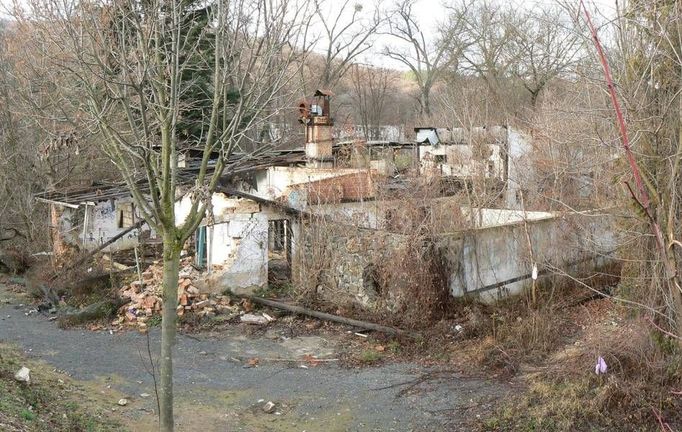 3) Objekt na fotografii je pravděpodobně pozůstatkem první veřejné sauny v Československu, která vznikla roku 1946 v Brně-Pisárkách. Sauna později vyhořela a na jejím místě byla postavena nová, dnes z ní však zbyly už jen ruiny. (Autor: Adam Nehudek)