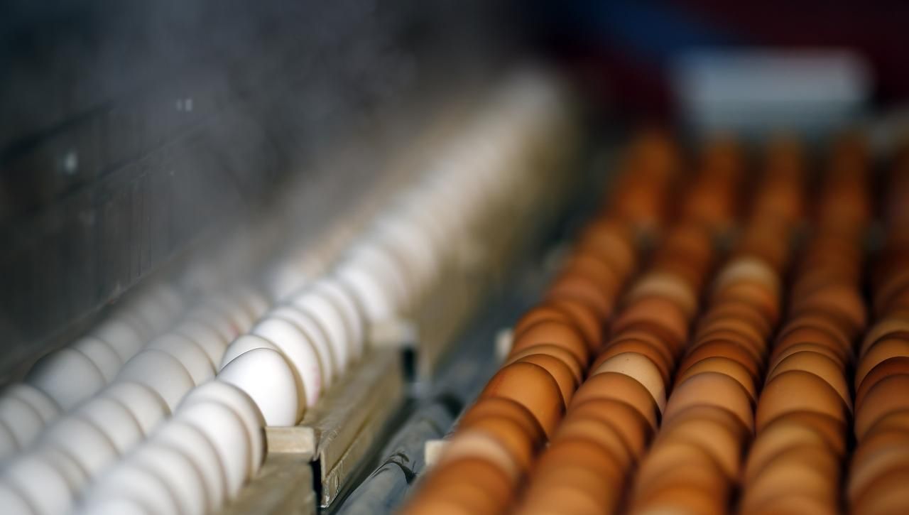 Fotogalerie: Průmyslová výroba velikonočních vajíček