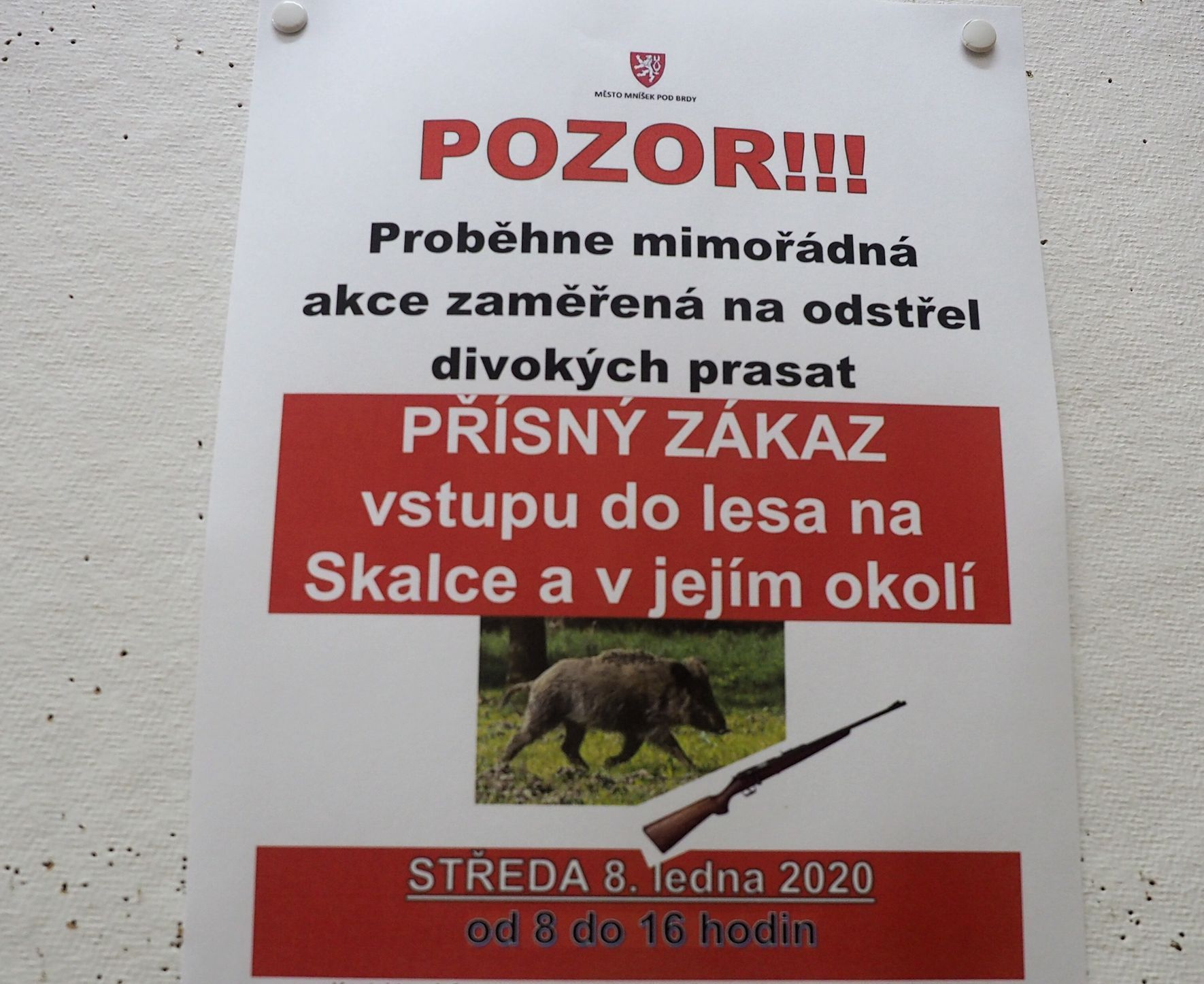 Mníšek pod Brdy - přemnožení divočáci