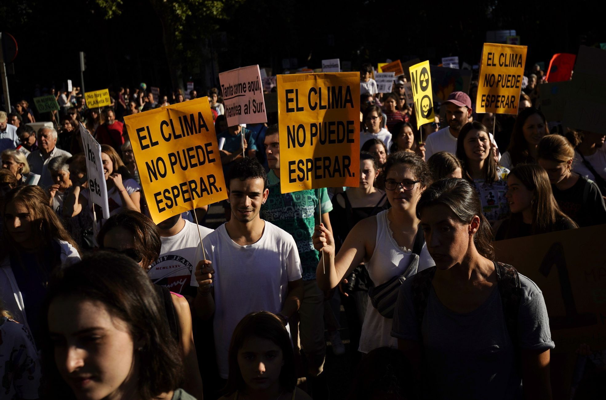 Celosvětové stávky za klima Fridays for Future