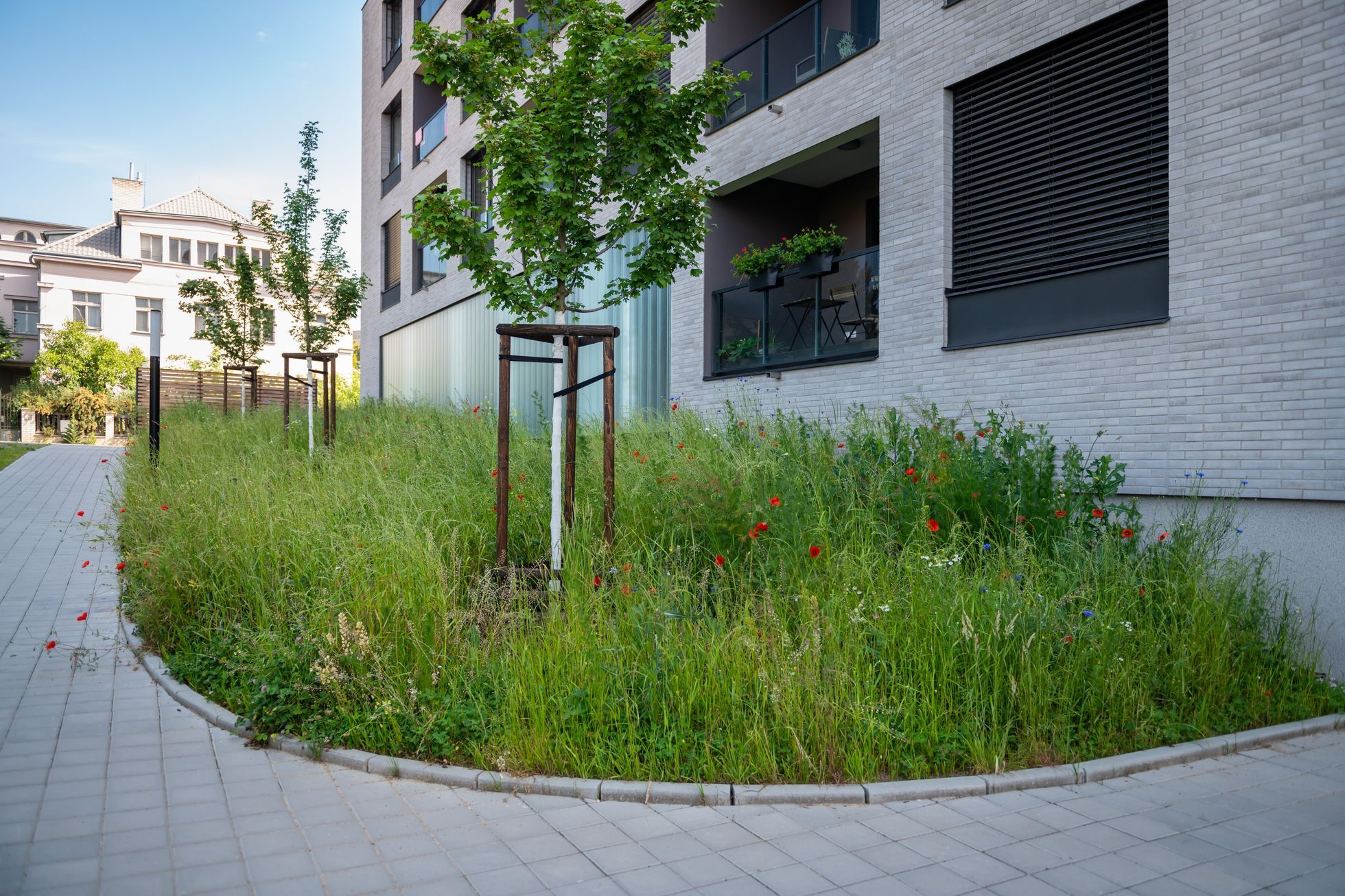 Adapterra Awards 2023 Green port strašnice