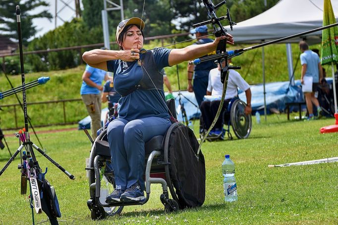 Během turnaje byly překonány čtyři rekordy světové a dva evropské. Zasloužili se o to Britové a Íránci.