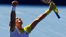 Australian Open: David Ferrer