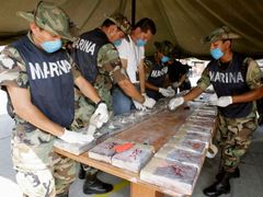 Zásilka kokainu zabavená mexickými ozbrojenými silami (ilustrační foto).
