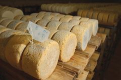 Francouzi chtějí Nivu, česká konkurence se o sýr soudí