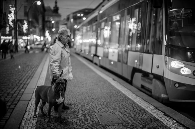 Nejlepší fotografie roku 2023 z české fotografické skupiny Street Report