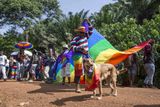 Účastníkům ale především významně pomohlo, že před více jak rokem ugandský Ústavní soud zrušil zákon, který původně měl homosexuálům hrozit až trestem smrti, byť nakonec prošel v mírnější verzi doživotního žaláře trestajícího projevy homosexuality.