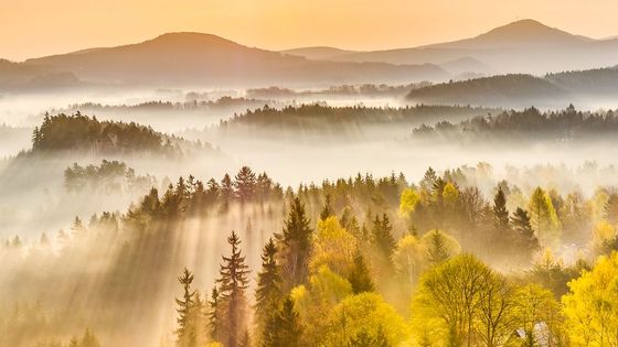 Snímek z výstavy Kouzla okamžiků byl pořízen v Českém Švýcarsku.