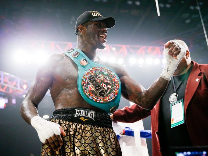 Deontay Wilder vs. Bermane Stiverne