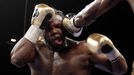 Deontay Wilder vs. Bermane Stiverne