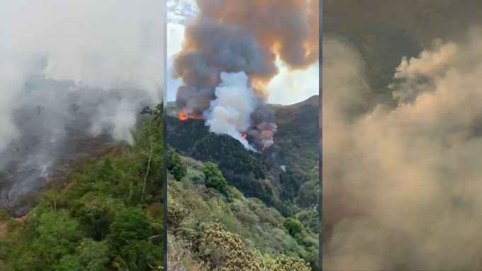 Největší letní požáry ve světě: Amazonie, Kanáry, Sibiř