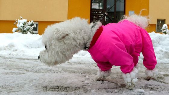 Sníh přišel od východu a zasypal Ostravu