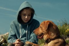 RECENZE Jak Lassie vypráví intelektuálům o zrodu planety psů