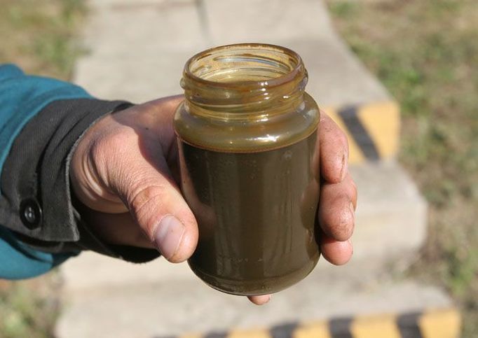 Ropovodem Družba se dopravuje i relativně malé množství vysoce kvalitní ropy, kterou těží společnost Moravské naftové doly na jižní Moravě, ke zpracování v Kralupech nad Vltavou. Čtěte více: Naftaři uspěli. Těží ropu u Břeclavi