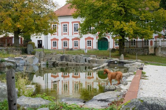 Pohled na hlavní zámeckou budovu, v níž je dnes expozice o historii zámku a minulosti majitelů.