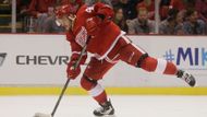 Martin Frk (Detroit Red Wings, útočník, 23 let) - Vítězným gólem rozhodl finále AHL, s farmou Detroitu zvedl nad hlavu Calder Cup a ve 23 letech letos prodloužil o rok smlouvu s jednoznačnou vidinou, že si konečně NHL naplno vychutná. Loni do soutěže nastoupil jen ve dvou zápasech za Carolinu, teď to vypadá na mnohem větší šanci. Tím spíš, že konkurence v útoku Red Wings není kdovíjak veliká.