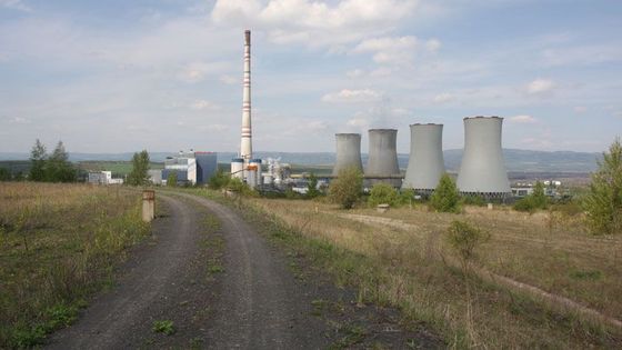 Ropákův biotop zůstal nepoškozen