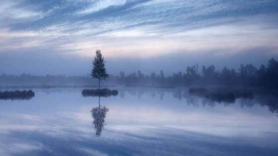 Šumava krásná i zničená. Jinde mám pocit promarněného času, říká fotograf Pavel Ouředník