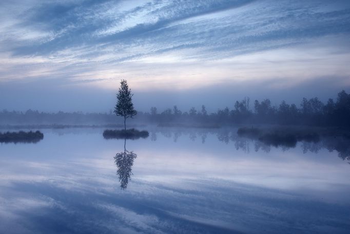 Pavel Ouředník: Šumava.