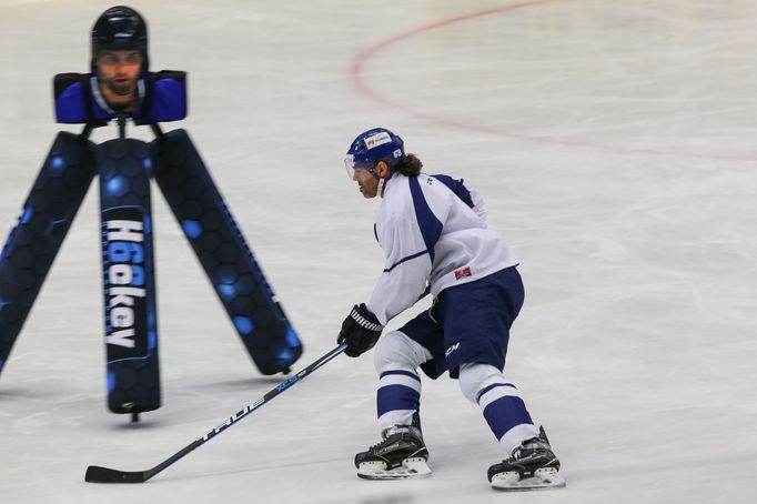 Jaromír Jágr, první den na Kladně po návratu z Calgary