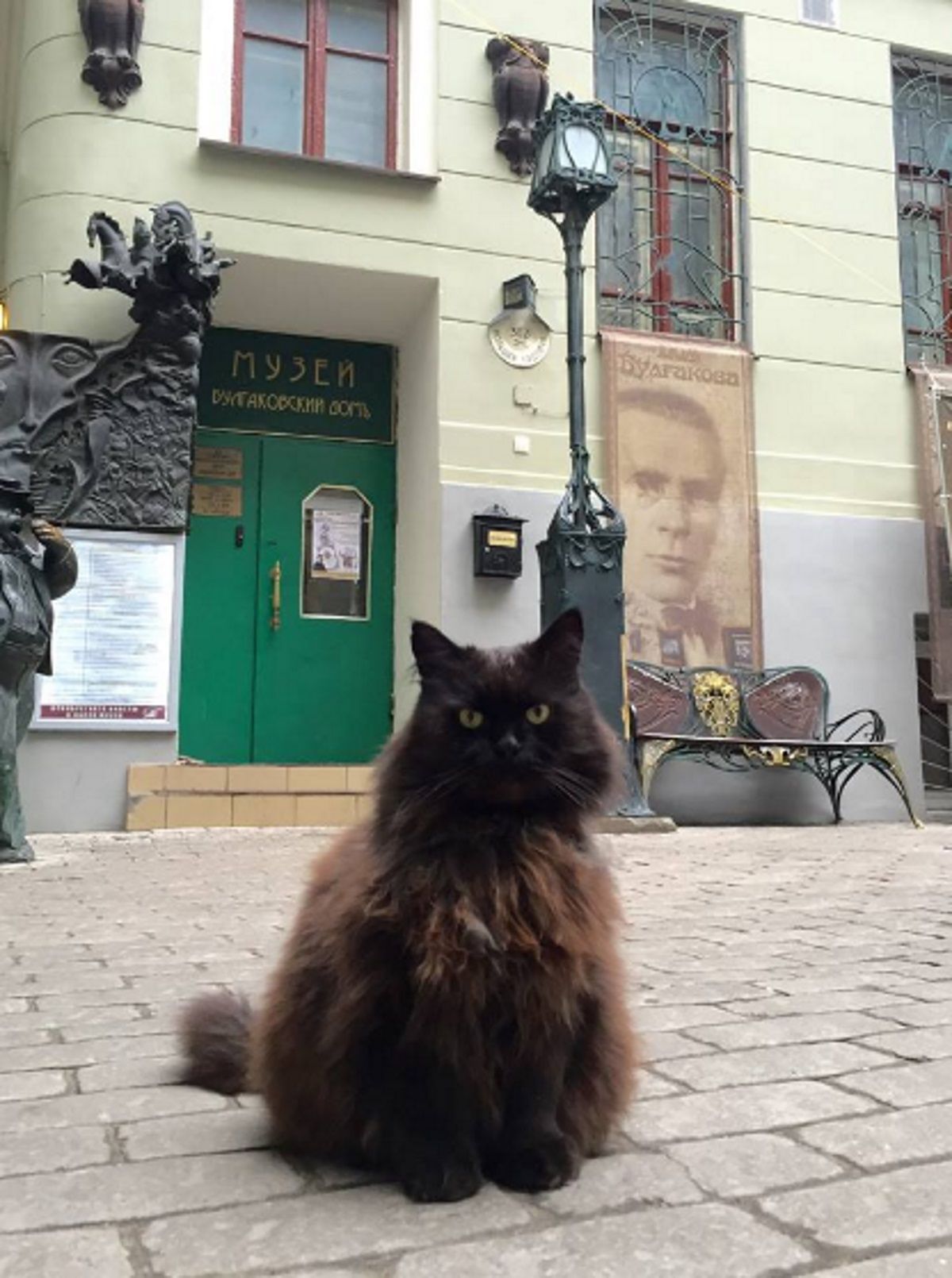 kočka, Rusko, Moskva