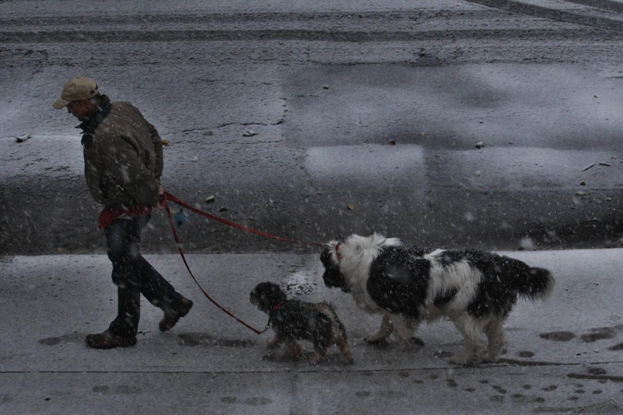 Foto: Newyorčané opět trpí. Po Sandy je zasáhla sněhová bouře.