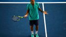 Sedmý den Australian Open (Jo-Wilfried Tsonga)