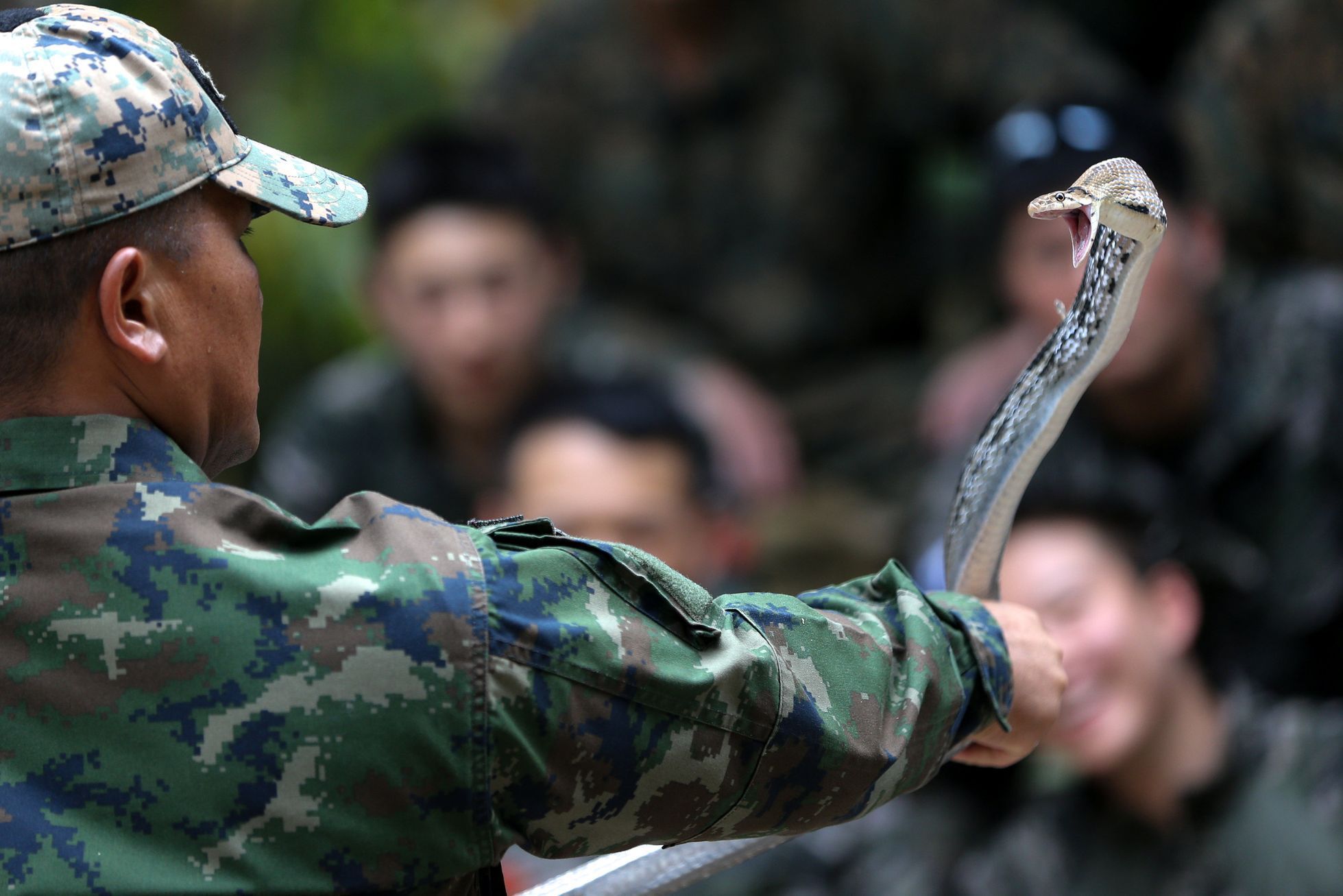 Mezinárodní cvičení Zlatá kobra v Thajsku