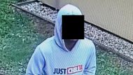Policie, loupež, seniorka, České Budějovice, krimi