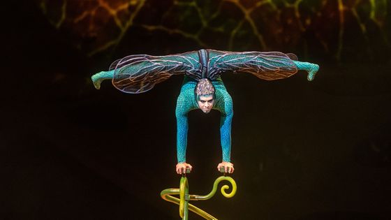 Cirque du Soleil se proměnil v hmyz. Potlesk v pražské O2 areně nabírá na síle