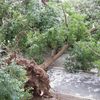 Hasiči v Jihomoravském kraji odstraňovali následky bouřky
