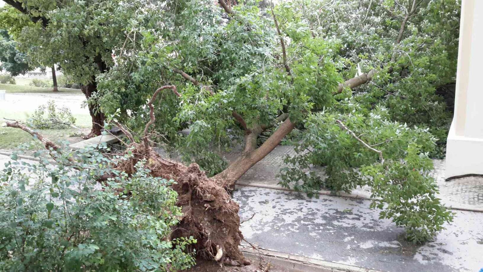 Hasiči v Jihomoravském kraji odstraňovali následky bouřky