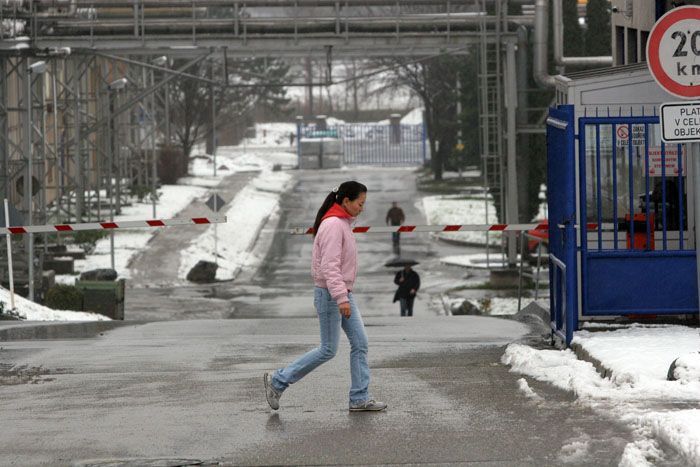 Mongolové v Česku