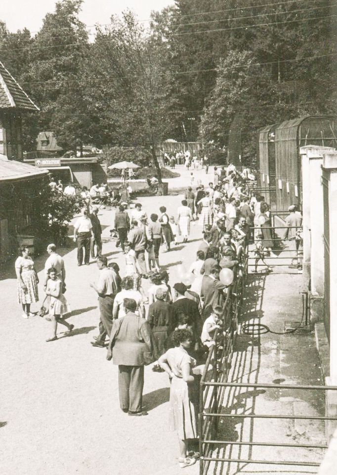 ZOO Liberec slaví 120 let od svého vzniku. Podívejte se na historické momenty a vývoj nejstarší zoologické zahrady v českých zemích od jejího založení v roce 1904.