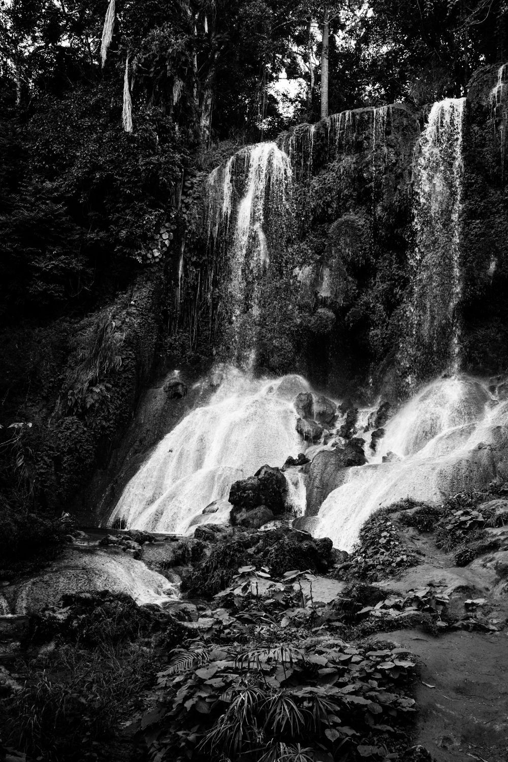 Romana Marie Jokelová: Kuba