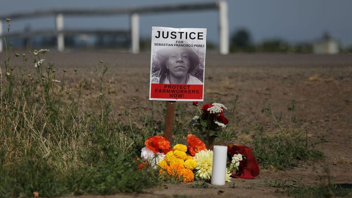 Infarkty, astma, selhání ledvin. Rostoucí horka zabíjejí farmáře na přímém slunci; Zdroj foto: Reuters