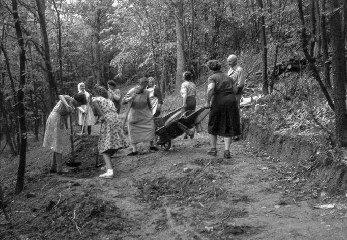 Archivní snímek z historie Brněnské ZOO, která letos v srpnu oslavila kulaté výročí 70. let od svého založení.