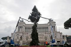 Prokletí římských vánočních stromků pokračuje. Loni byl opelichaný, letos olámaný