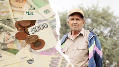 Pracující důchodci, sleva pro zaměstnance - Ikona, poutak