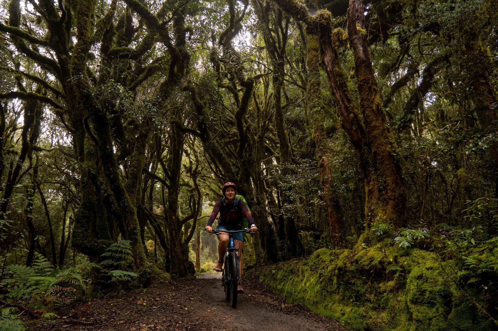 nový zéland cestování