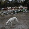 Foto: Ve Španělsku po 50 letech existence zbourali romskou osadu