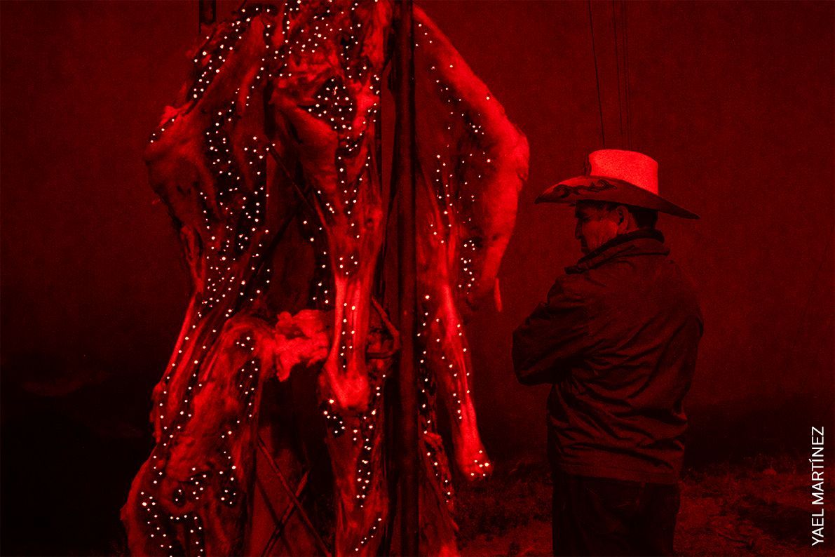 World Press Photo 2022 - regionální vítězové